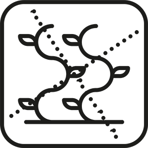 Hadica s ochranou proti rastu rias.