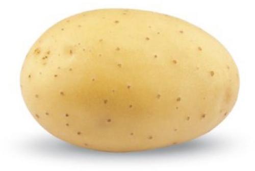 Zemiaky minisadba Sunita 28 - 35 mm, 1 kg