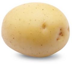 Zemiaky minisadba Colomba 28 - 35 mm, 1 kg