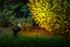 Smart LED svietidlo Arcus Zigbee - Foto2