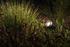 Smart LED svietidlo Arcus Zigbee - Foto0